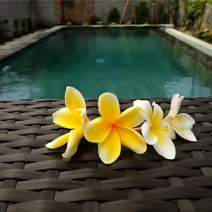 Eka Bali Убуд